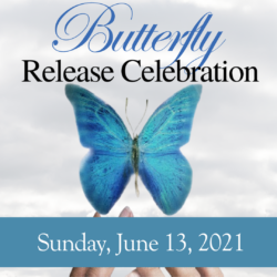 Butterfly Release Ceremony