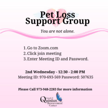 Pet Loss Support Group (Zoom)