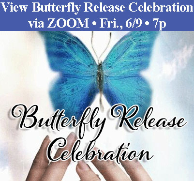 2023 Butterfly Release Celebration via ZOOM