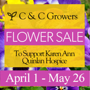 C&C Growers Flower Sale