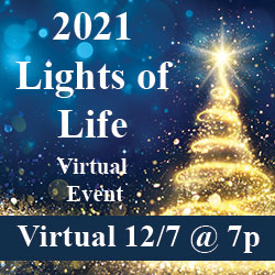 Lights of Life Virtual Presentation